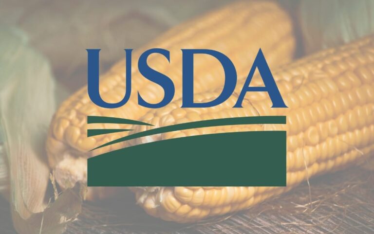 USDA Releases September 2023 Quarterly Grain Stocks and Small Grains Annual Summary Reports